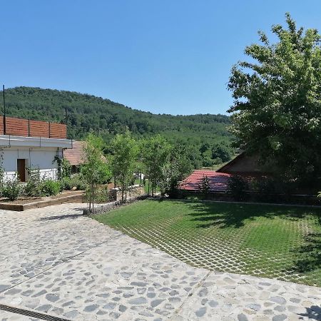 Szigligeti Mandula Kert Vendeghaz Διαμέρισμα Εξωτερικό φωτογραφία